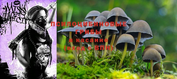 ГАЛЛЮЦИНОГЕННЫЕ ГРИБЫ Баксан