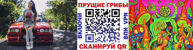 Псилоцибиновые грибы Cubensis Мышкин